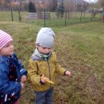 phoca_thumb_m_drak 17 Fotogalerie
